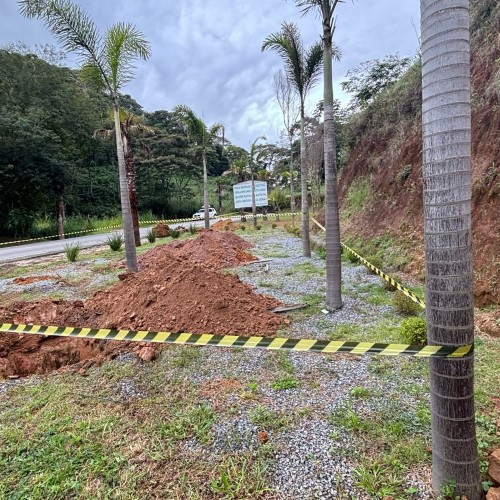  Barra do Piraí promove substituição de espécies de plantas em Ipiabas e no Largo da Feira